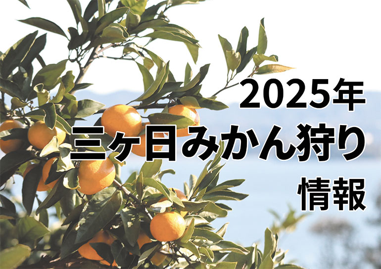2025年 三ケ日みかん狩り情報
