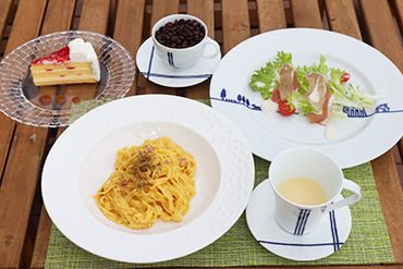 ドッグカフェ＆ドッグラン Café The Rodhos