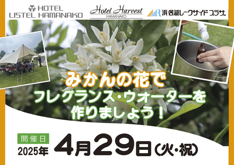 2025年4月29日(火･祝)開催<br />三ヶ日町内３ホテル合同企画<br />みかんの花でフレグランスウォーターを作りましょう！