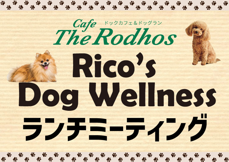 ７月12日(土)開催<br />Rico's Dog Wellness<br />ランチミーティング
