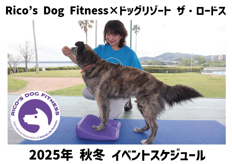 2025年 秋冬<br />ドッグイベントスケジュール<br />Rico's Dog Fitness×ドッグリゾート ザ･ロードス