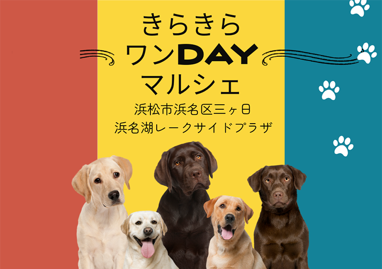 2025年10月19日(日)<br />きらきらワンDAYマルシェ開催