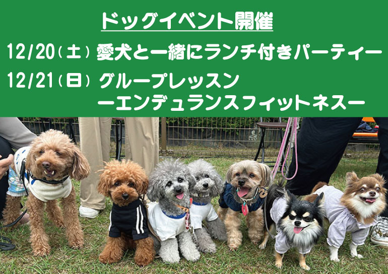 12/20(土)・21(日)<br />ドッグイベント開催<br />Rico's Dog Fitness×ドッグリゾート ザ･ロードス