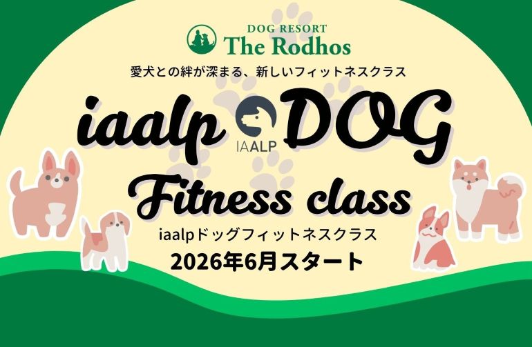 ドッグフィットネスクラスが<br />2026年6月スタート